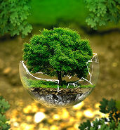 Environment