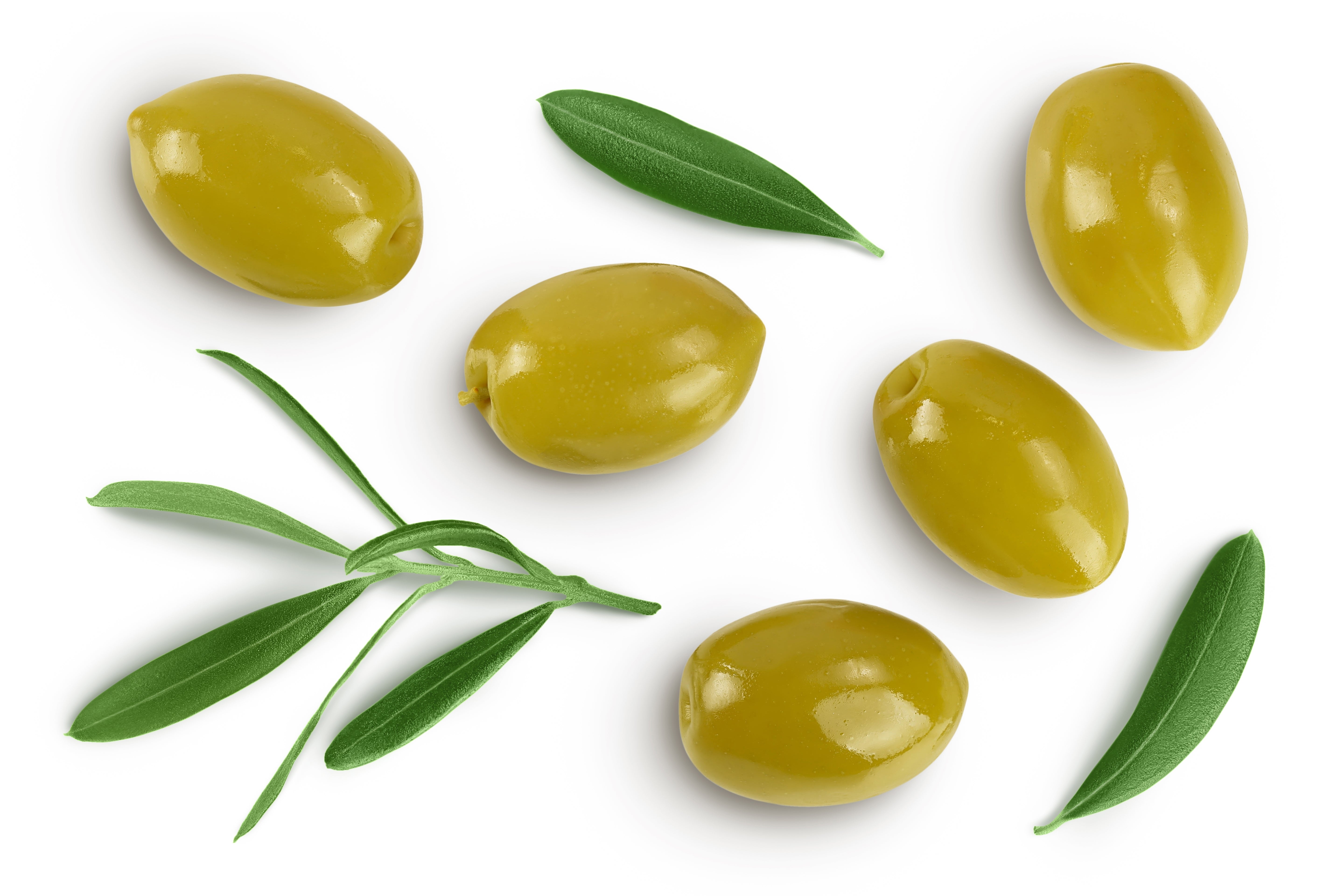 Olive Leaf Extract (Olea Europaea)